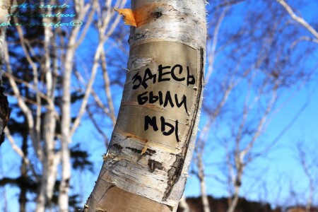 Во поле берёза стояла..."