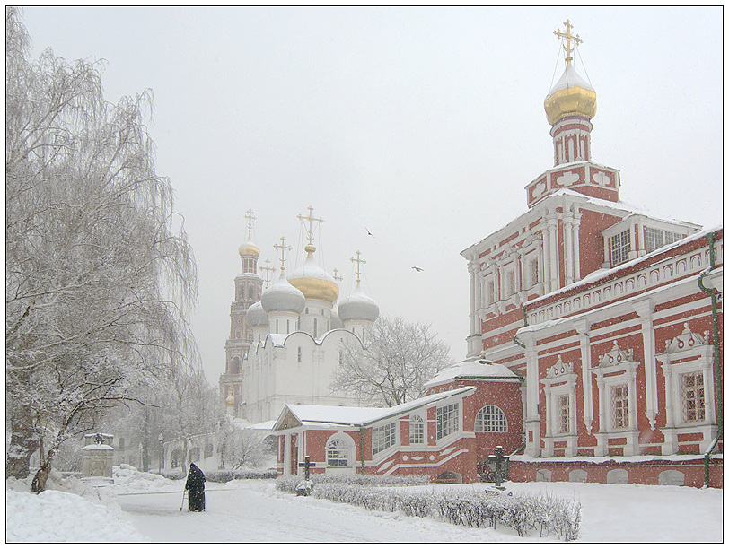 Зима в Новодевичьем