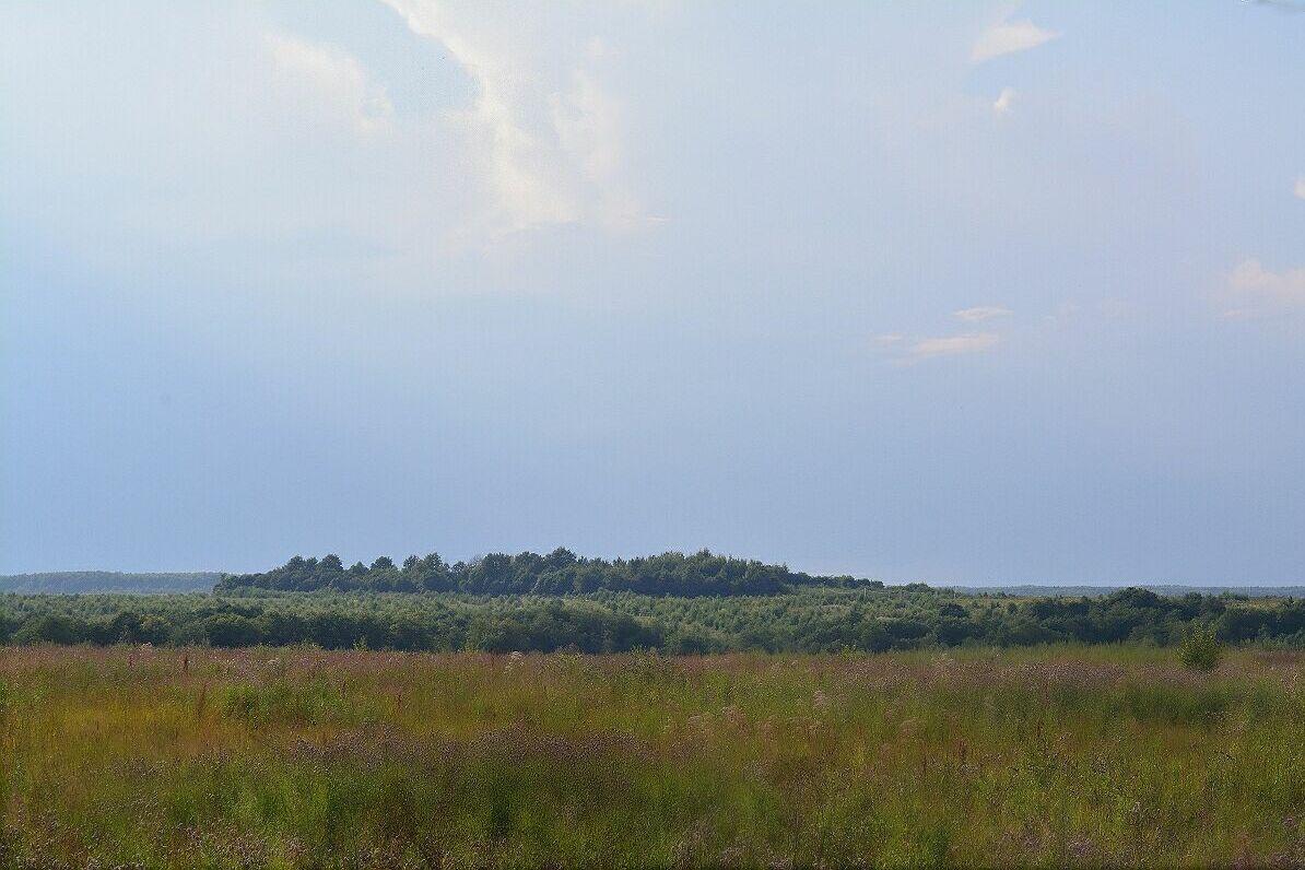 летний полдень