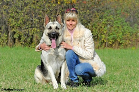 &amp;quot;Блондин и блондинка&amp;quot;