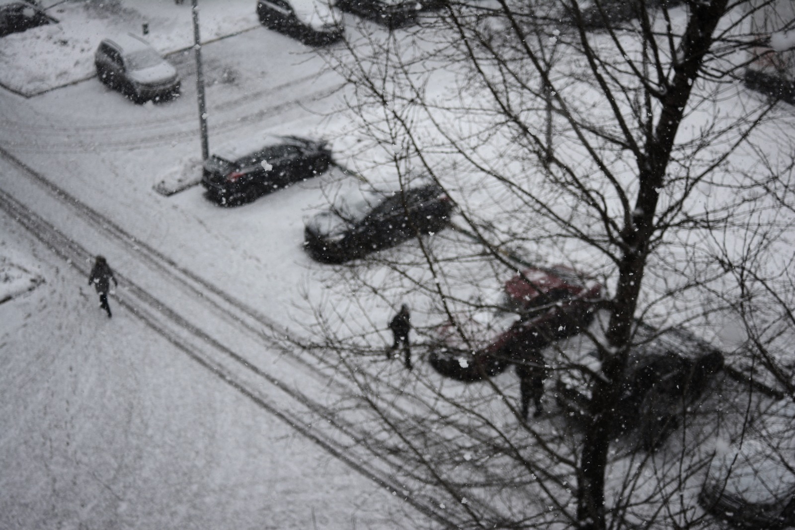 Снежинки над городом