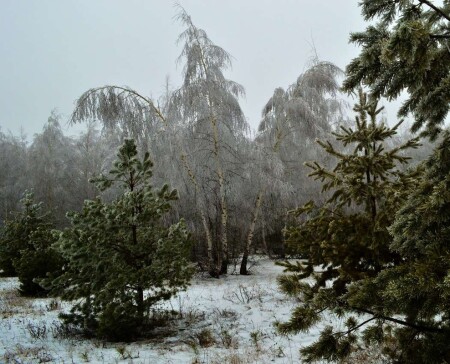 &amp;quot;Птица тройка&amp;quot;