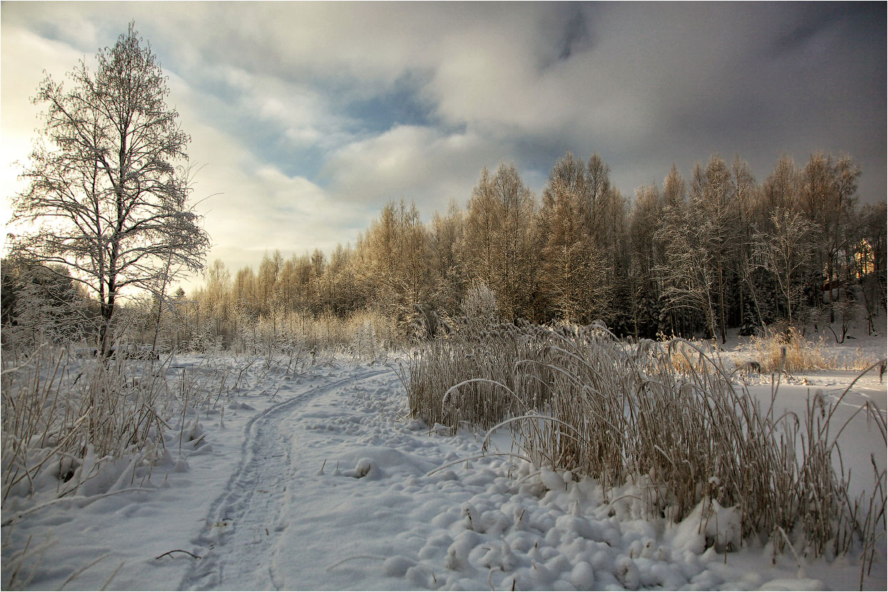 Январская