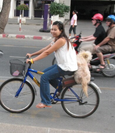 Неразлучные