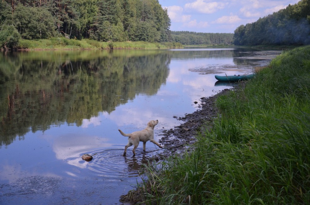 Волга