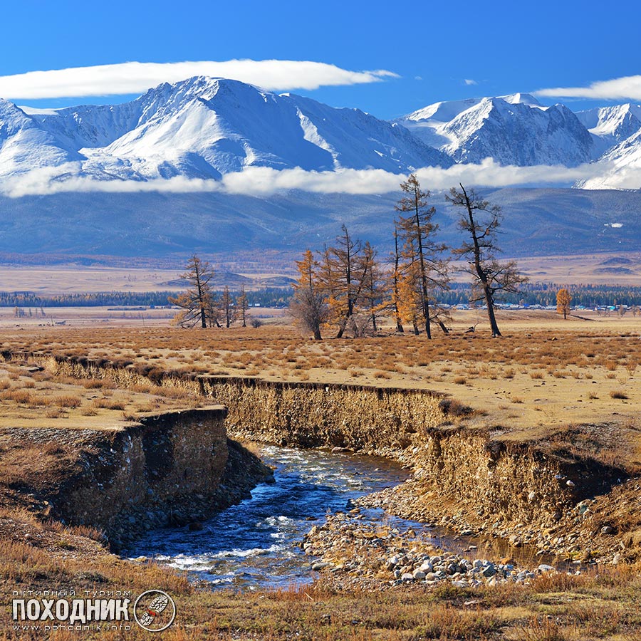 Курайская степь. Горный Алтай.