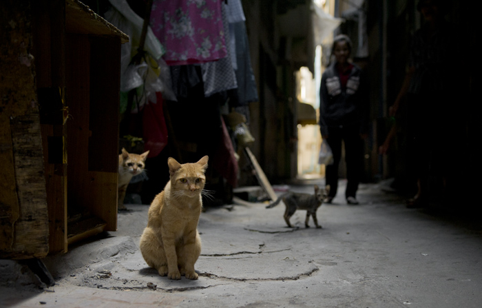 phnom penh,street