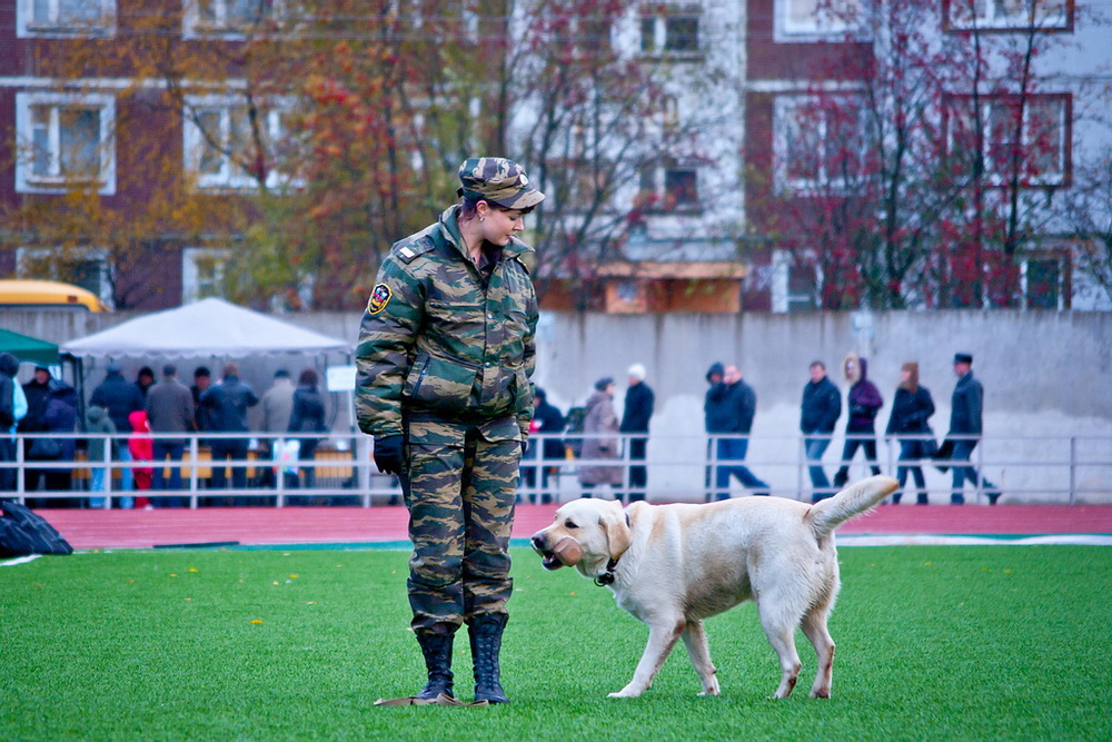 Боевые подруги