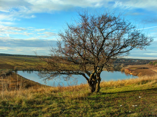 Пейзажи осени