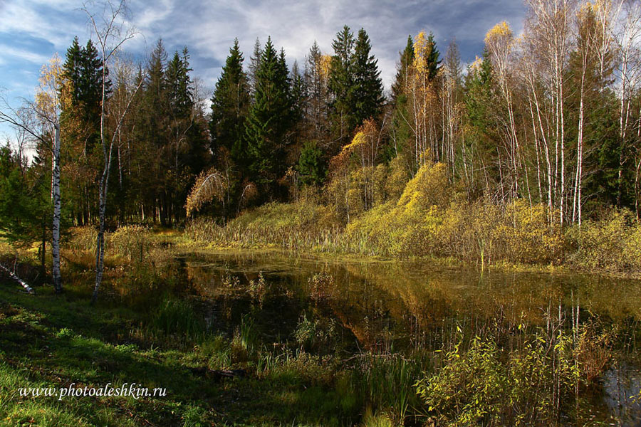 краски осени