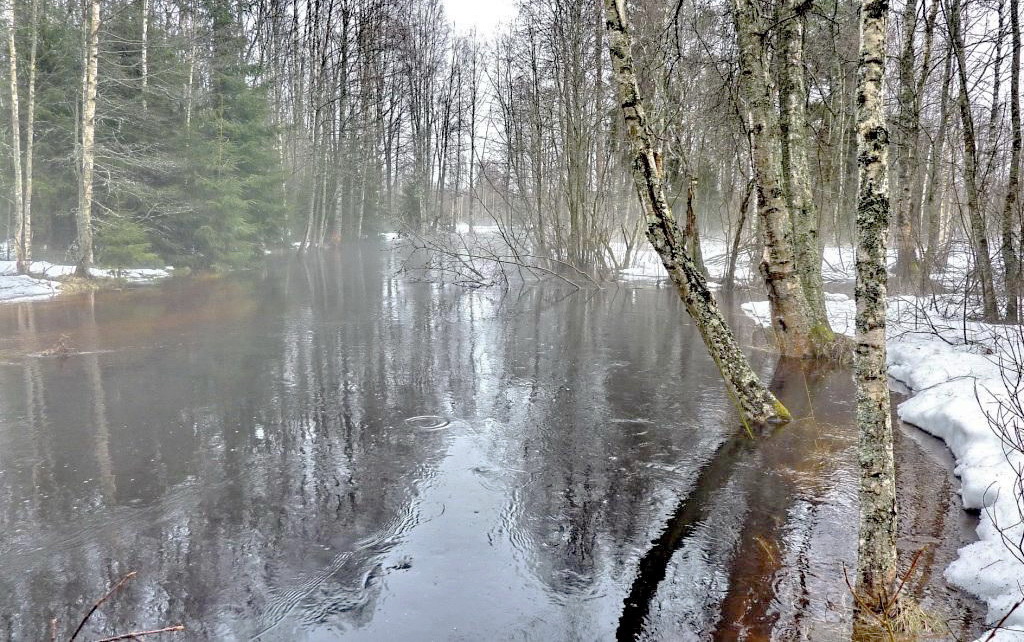 Весна идет, весне-дорогу