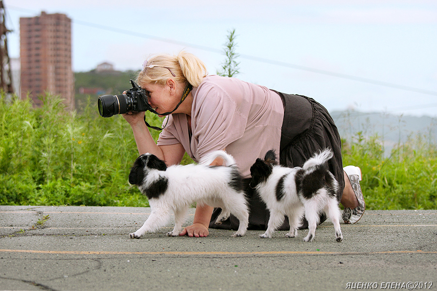 Сфотографируйте и нас... Мы тоже в кадр хотим попасть!