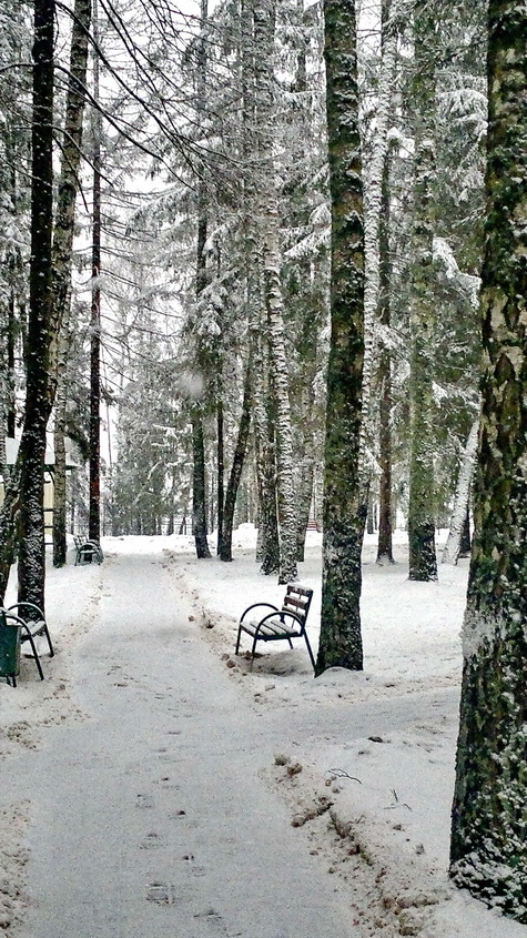 Свежий снежок.