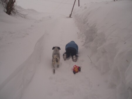 однажды в студеную зимнюю пору...