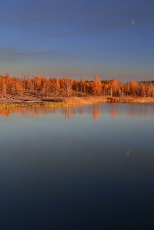 Золотая осень