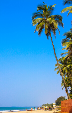 Февраль в Гоа