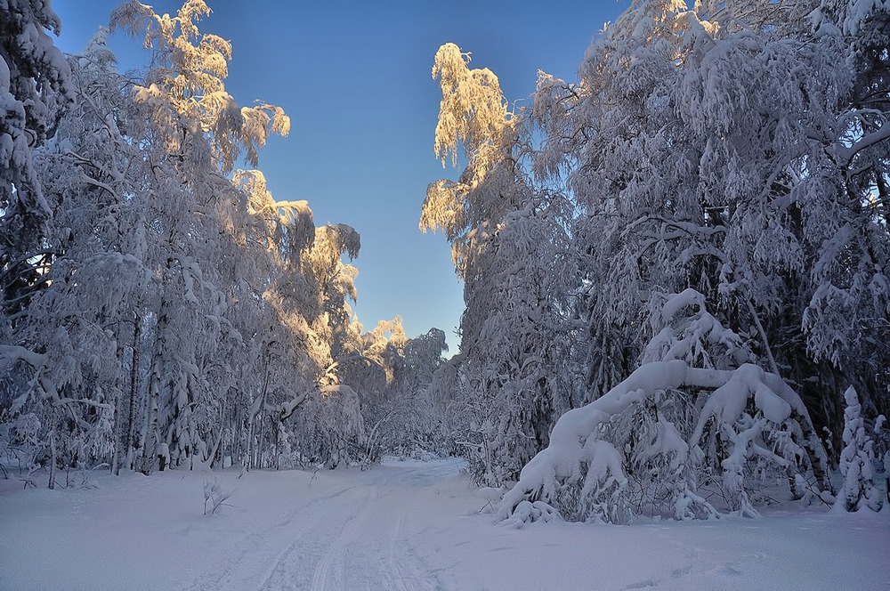 Белое безмолвие