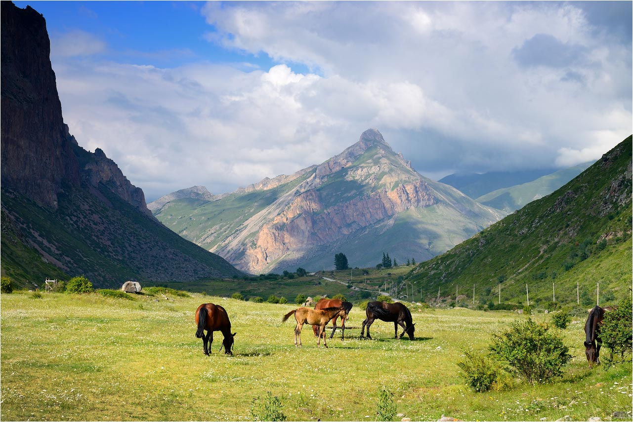 На лугу в Булунгу