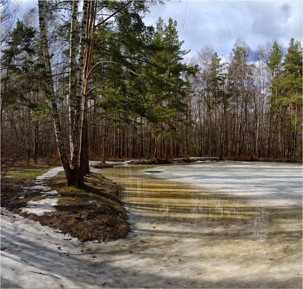 В весеннем парке