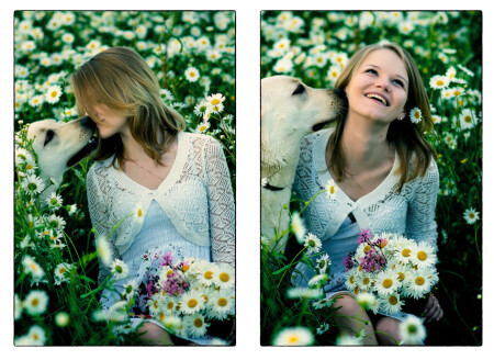 Собачья нежность