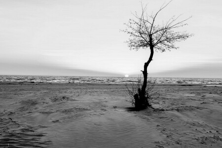 На побережье