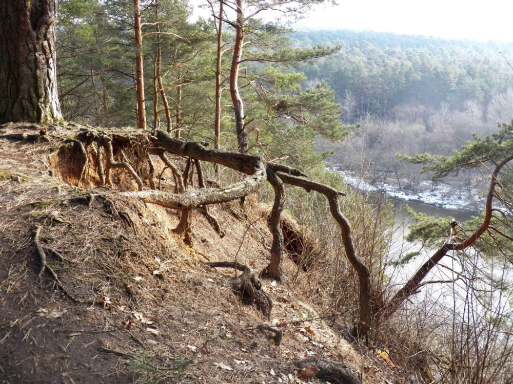 Весна не за горами