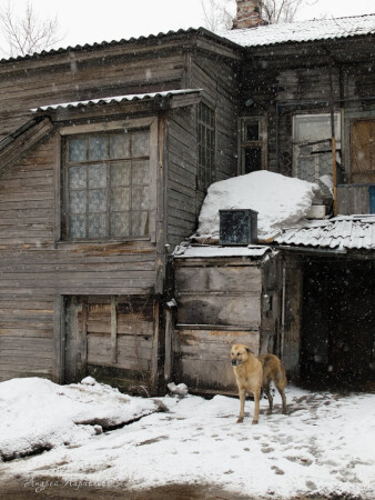 Весенний снегопад
