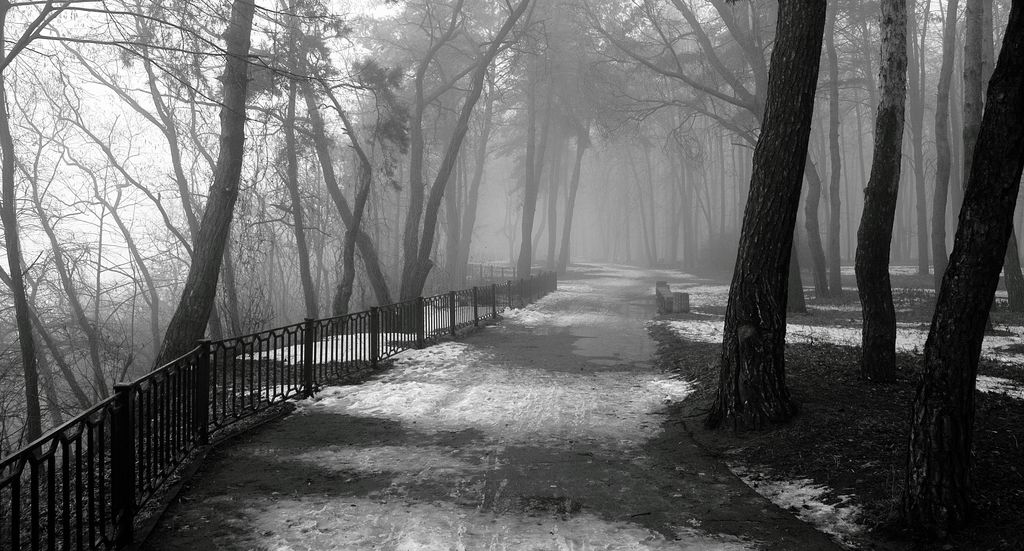 В остывшем парке снег ещё лежит,