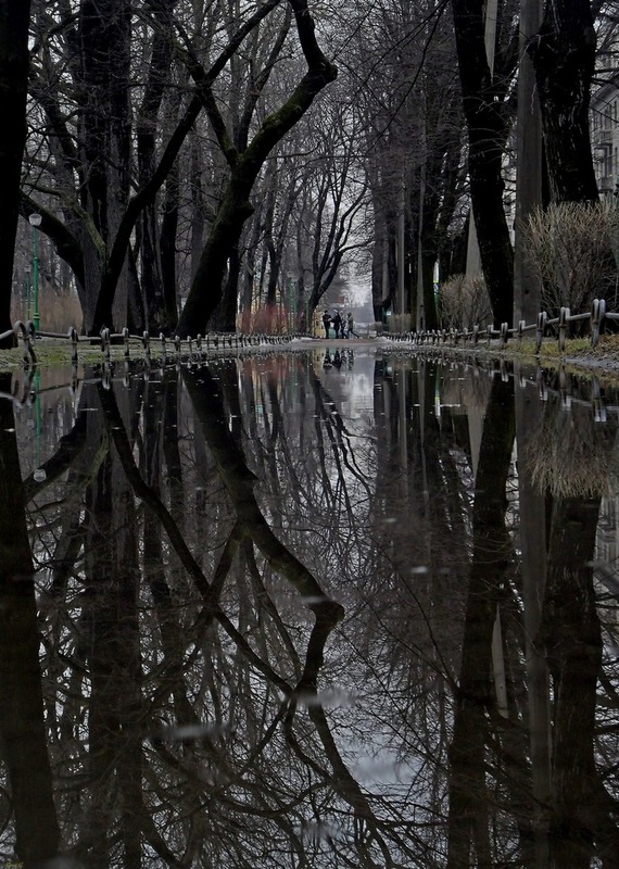 Таврический сад. Оттепель