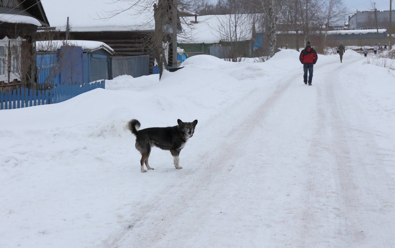 На работу