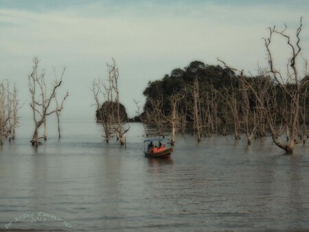 Бако - Национальный парк