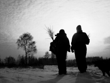 короток зимний день