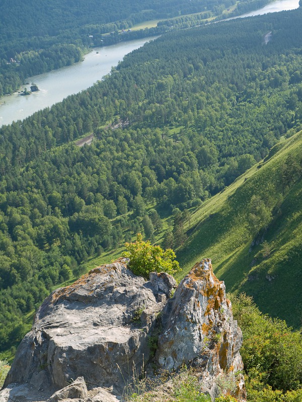 Нижняя Катунь