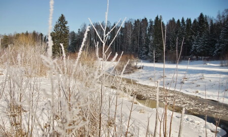 Морозное утро