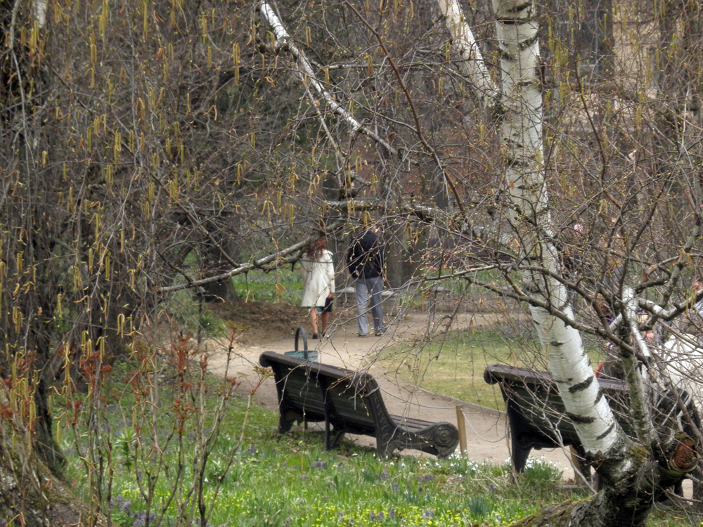 Весенний парк