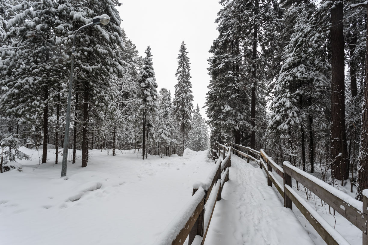 Самаровский чугас