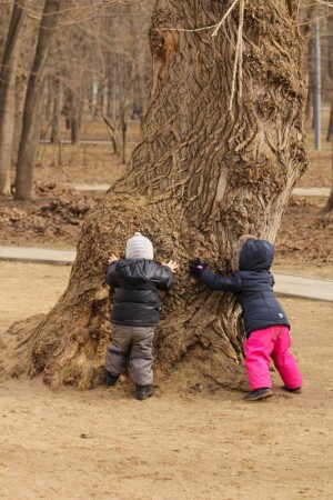 Проверка на прочность