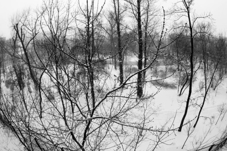 Весна в Москве