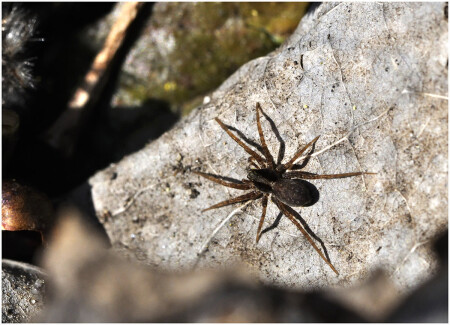 Отогреваюсь после зимы .