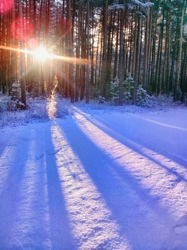 Последний снег