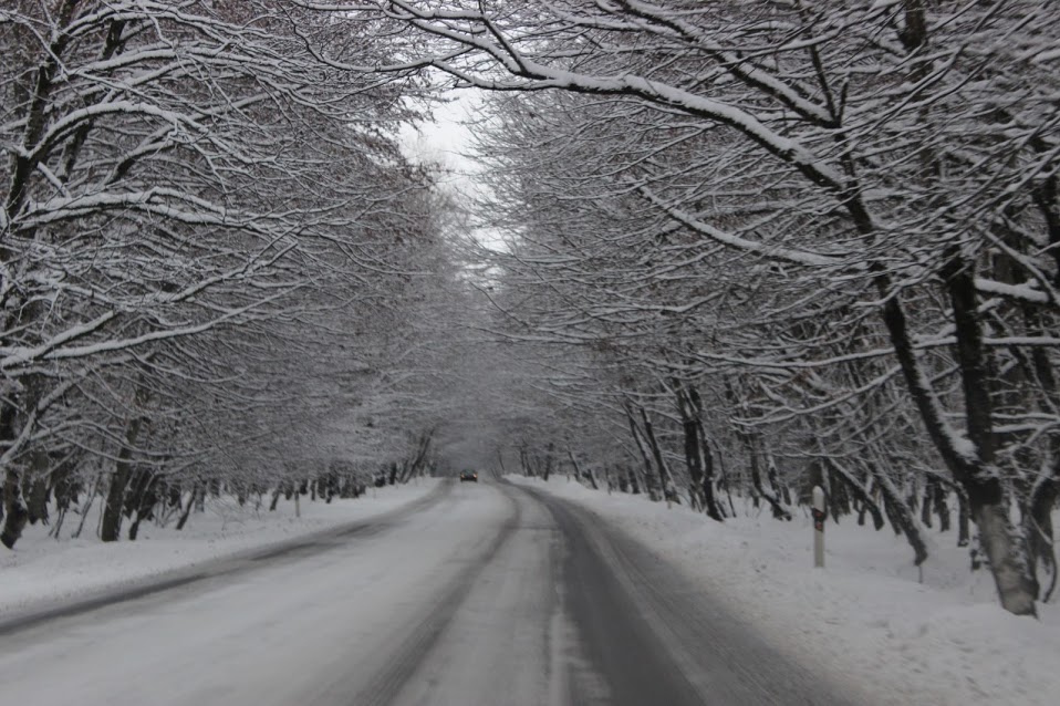 road in Gabala