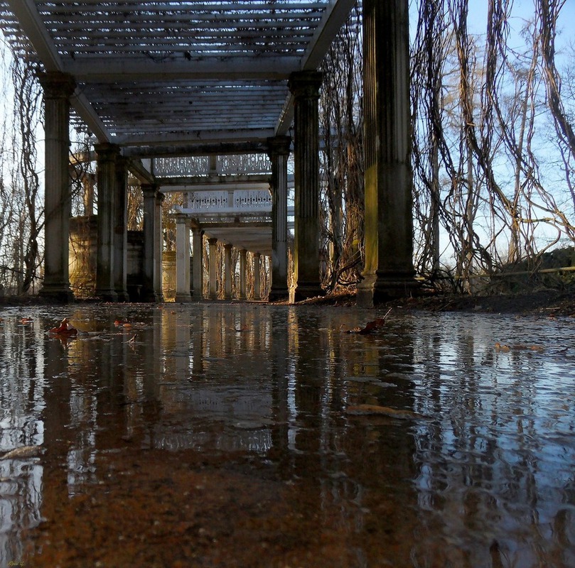 Царское Село. В весенней перголе