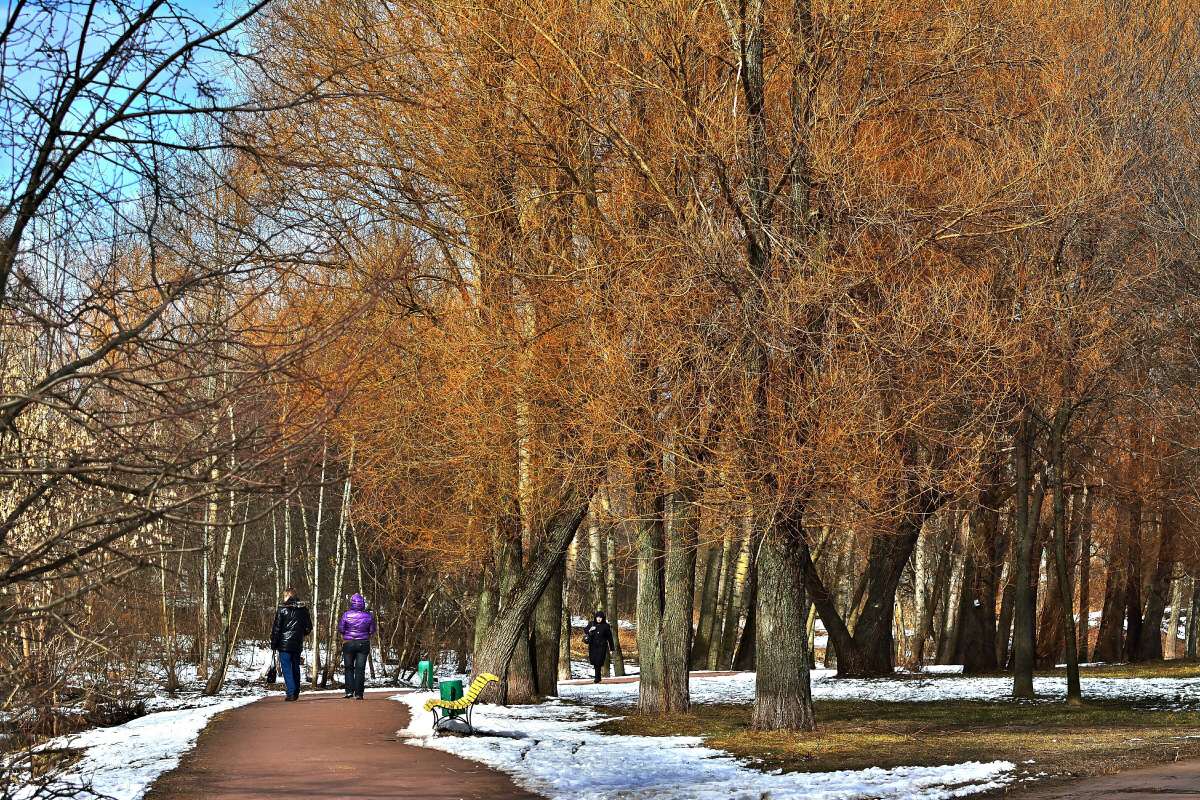 вечерние солнце