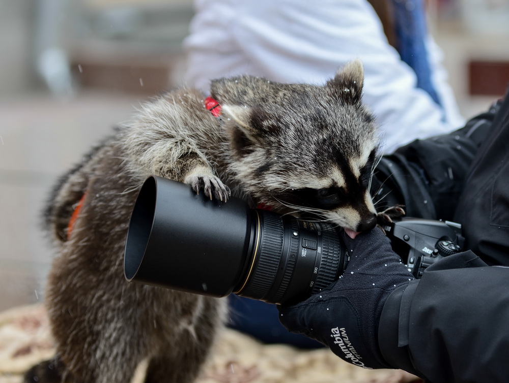 Начинающий фотограф.