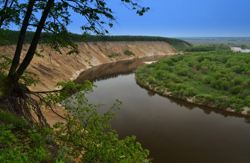 Кривоборье