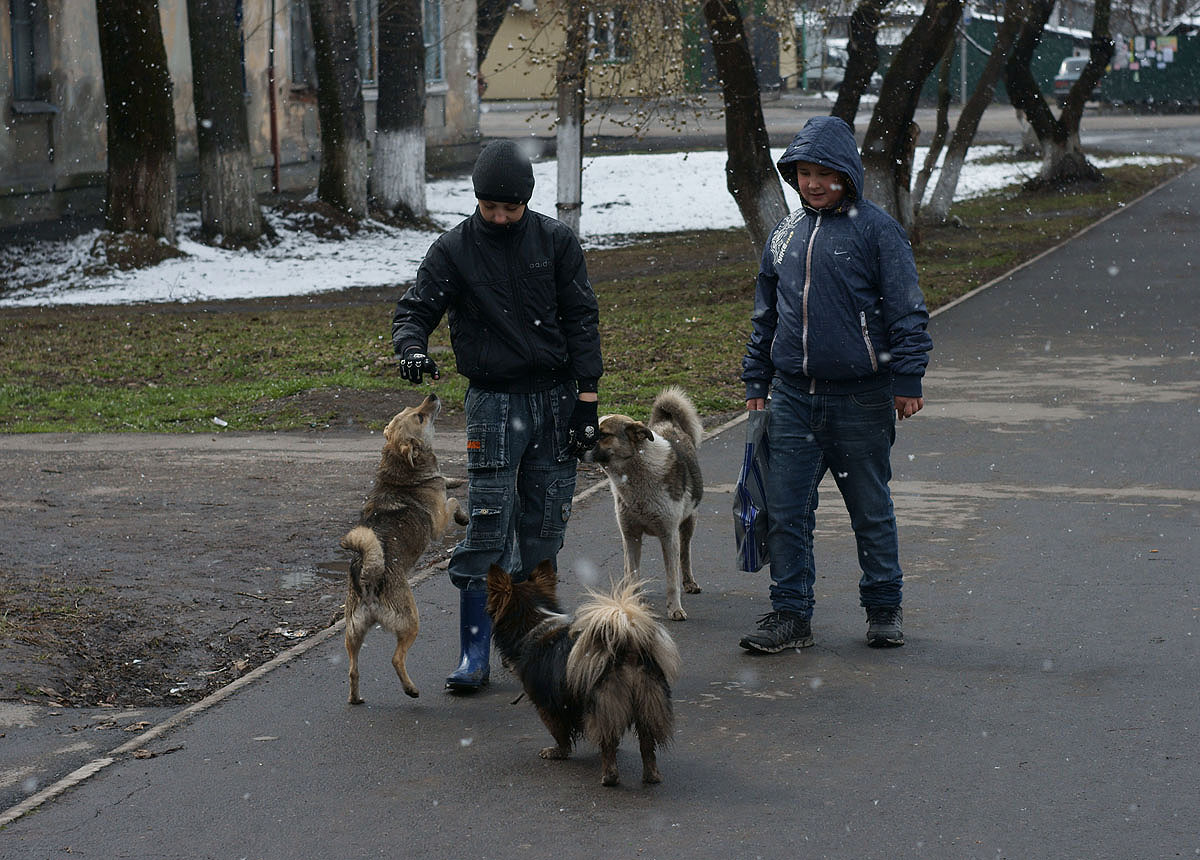 Дворовые.А снег идёт.