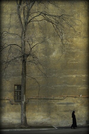 Весна на Гороховой