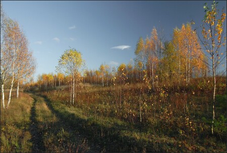 Брошено поле совхозное