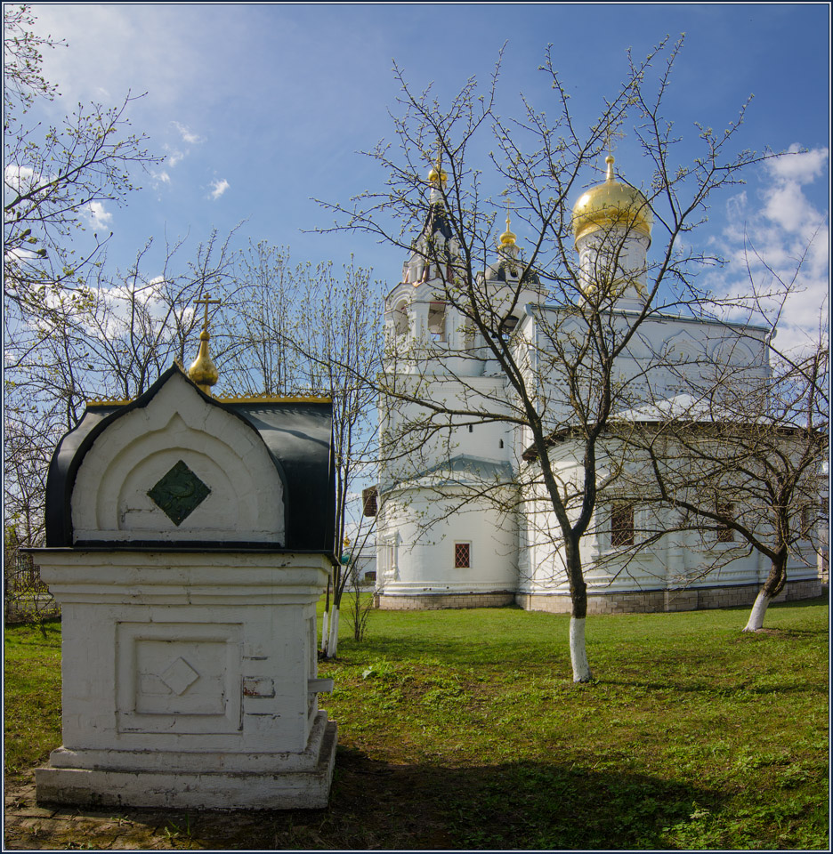 Церковь Дмитрия Солунского в селе Дмитровское.