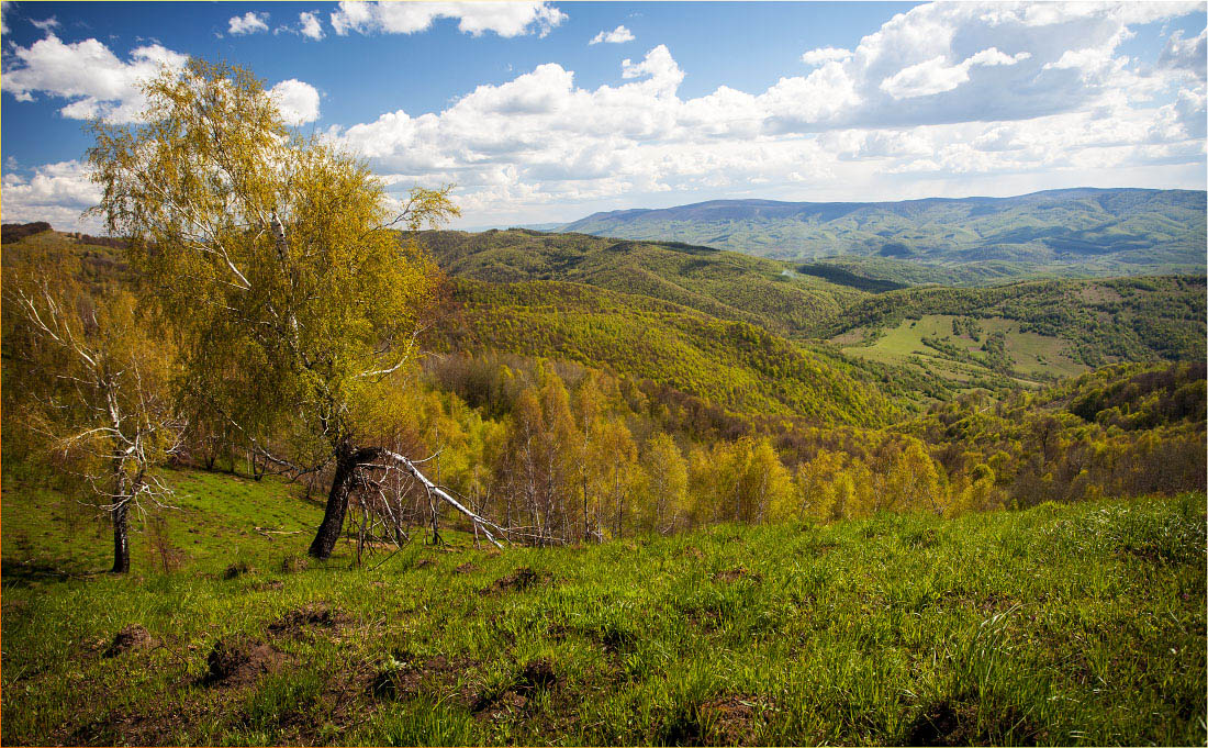 Осенняя весна